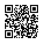 353TB6A384T QRCode