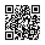 353WB3I500T QRCode