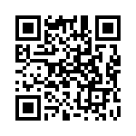 390103 QRCode