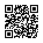 4-102973-0-29 QRCode