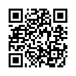 4-1393813-1 QRCode