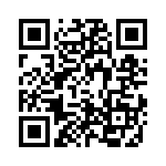 4-1393813-3 QRCode