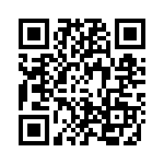 4-141 QRCode