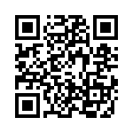 4-1618391-1 QRCode