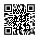 4-1625868-5 QRCode