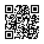 4-641113-8 QRCode