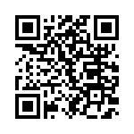 4001_166 QRCode