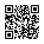 4010-DASKF_868 QRCode