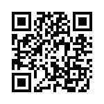 41095 QRCode