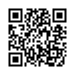 41332 QRCode