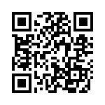 4137 QRCode