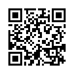 4281-4SG-300 QRCode