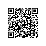 445C33E13M00000 QRCode