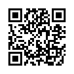 500R07N100JV4T QRCode