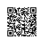 510-87-132-13-001101 QRCode