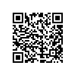 51742-10600800AA QRCode