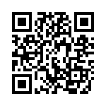 51941 QRCode