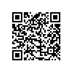 520L10DT13M0000 QRCode