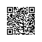 520M25IT13M0000 QRCode