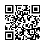 54101-G05-06 QRCode