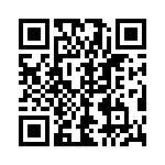 54101-T10-04 QRCode