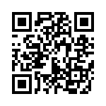 54101-T30-02 QRCode