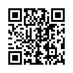 54101-T30-07 QRCode