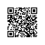 54121-407061300LF QRCode