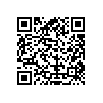 54121-411041700LF QRCode