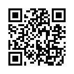 553119-1 QRCode