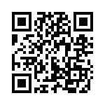 55P QRCode