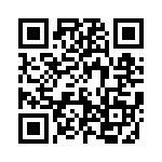 593131313002F QRCode