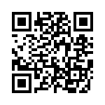 593131313313F QRCode