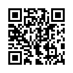 596381-000 QRCode