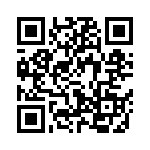 61030012013010 QRCode