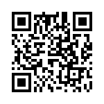 61030013017 QRCode