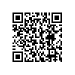 612-87-424-41-001101 QRCode