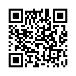 61303421121 QRCode