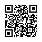 637E17332I3T QRCode