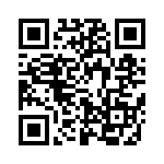 637E17333I2T QRCode