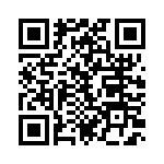 637P13306A2T QRCode