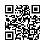 637P13306C3T QRCode