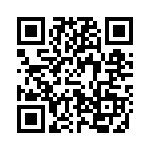 63D33 QRCode