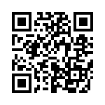 653E13306C2T QRCode