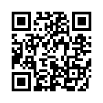 653L13306A2T QRCode