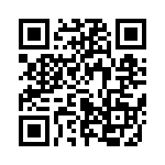 653P13302I3T QRCode