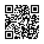 653P17856C2T QRCode