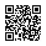 653P25006C2T QRCode