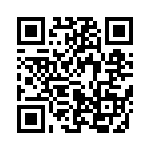 653V13306A2T QRCode