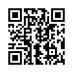 691233510004S QRCode